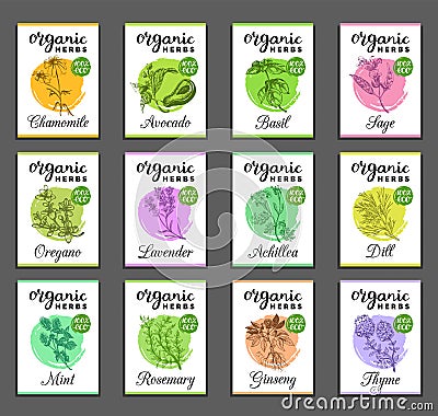 Herbs and spices cards set. Hand drawn medicinal, cosmetic plants collection. Engraving botanical illustrations tags. Vector Illustration