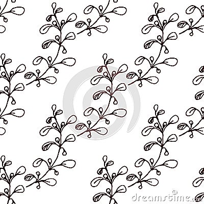 Herbs and Spices Collection - Marjoram Vector Illustration