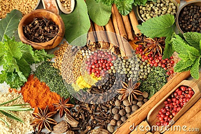 Herbs and spices. Stock Photo