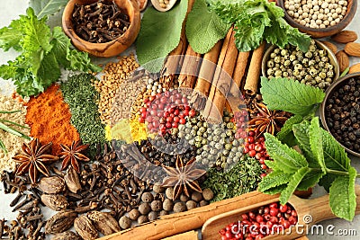 Herbs and spices. Stock Photo