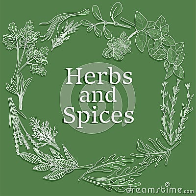 Herbs and spices. Hand drawn leaves. Round frame. Peppermint basil marjoram. Label or emblem design. Condiment isolated Vector Illustration