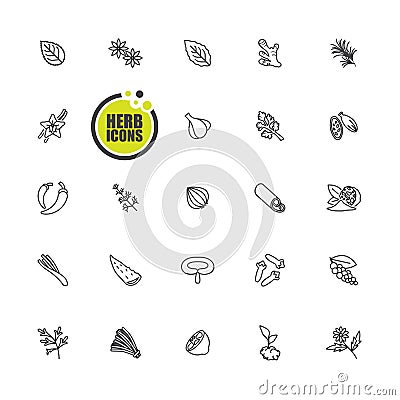 Herbs and spices icon Vector Illustration