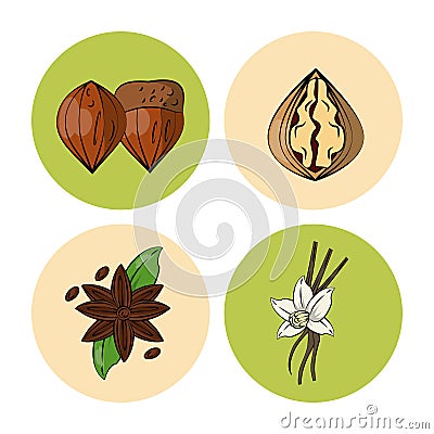 Herbs and spices icons Vector Illustration