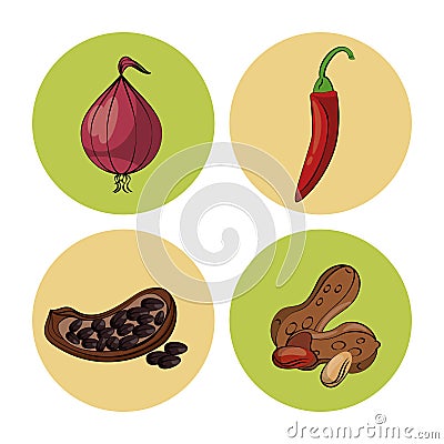 Herbs and spices icons Vector Illustration
