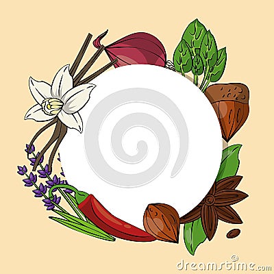 Herbs and spices icons Vector Illustration