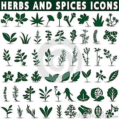 Herbs and spices icons Vector Illustration