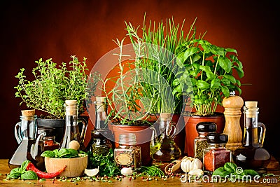 Herbs, spices and olive oil Stock Photo