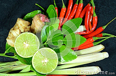 Herbs for Thai Spicy Lemongrass Soup. Stock Photo