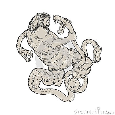 Hercules Fighting Lernaean Hydra Drawing Stock Photo