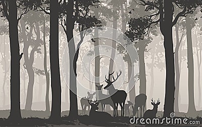 Herd of deer Vector Illustration