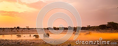 A herd of elephants at sunset next to a waterhole Stock Photo