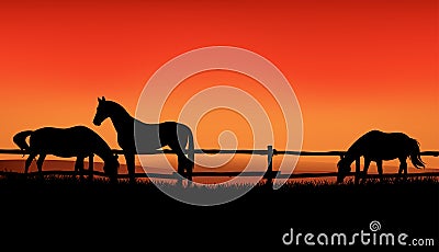 Herd of horses grazing at sunset - evening ranch vector silhouette scene Vector Illustration