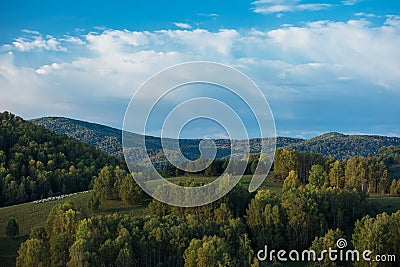 A herd of sheep in the Altai mountains. Stock Photo