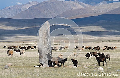 Herd of sheep and goats Stock Photo