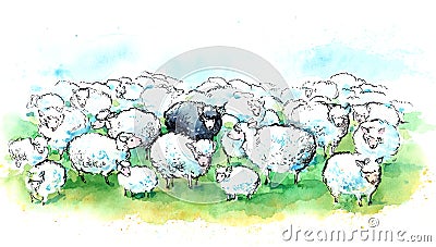 Herd of sheep Stock Photo