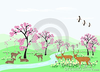 Herds of deer are resting under the cherry trees in the green meadows with long streams. Vector Illustration