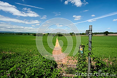 Herefordshire / UK - 6 June 2021: Public footpath sign pointing to track or path through arable farming field in summer under blue Editorial Stock Photo