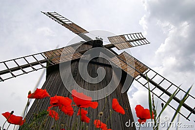 Heritage Park in Tokarnia Stock Photo