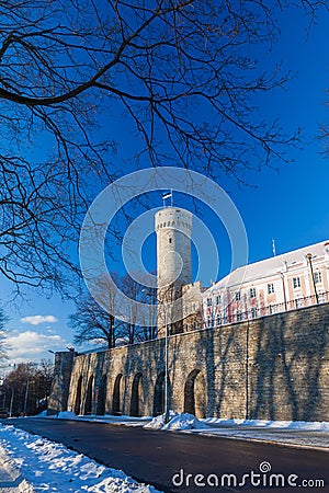 Herman Tower and Parliament building. Tallinn, Estonia Stock Photo