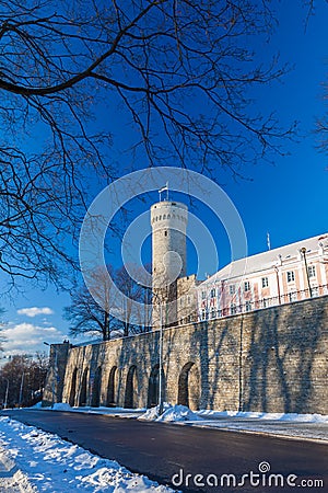 Herman Tower and Parliament building. Tallinn, Estonia Stock Photo