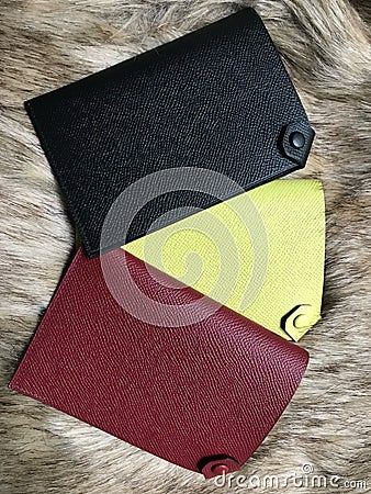 Hermes small leather goods passport cover Stock Photo
