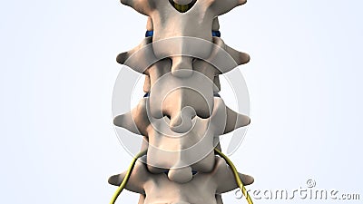 Lumbar spine herniated disc medical animation Stock Photo