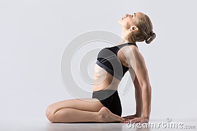 Hero Pose, Virasana Stock Photo