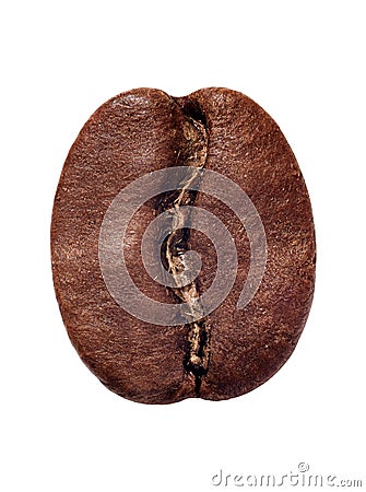 Single coffee bean isolated on white background Stock Photo