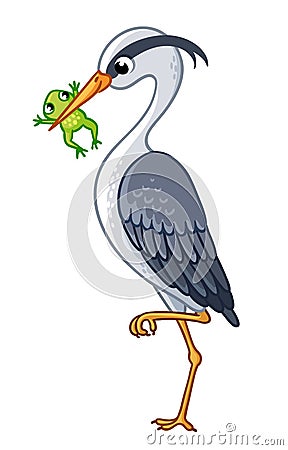 The heron in a beak holds a frog. Cartoon Illustration