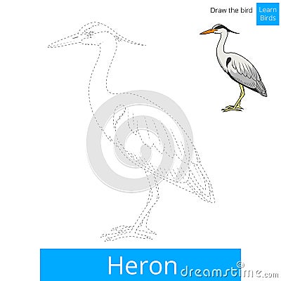 Heron bird learn to draw vector Vector Illustration