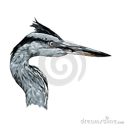 Heron head looks away profile Vector Illustration