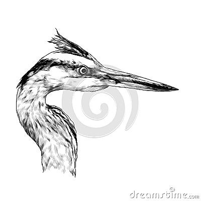 Heron head looks away profile Vector Illustration