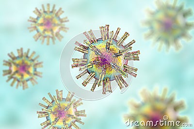 Human Herpes simplex virus Cartoon Illustration