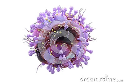 Varicella herpes virus illustration Cartoon Illustration
