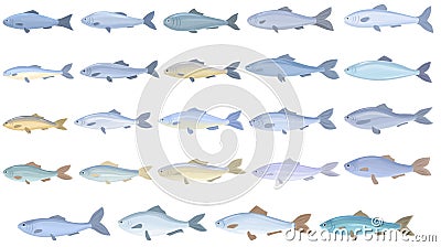 Herring icons set cartoon vector. Cod fish Vector Illustration