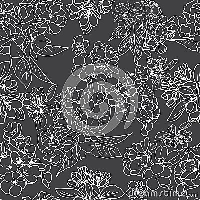 Ð¡herry blossom outline botanical background Vector Illustration