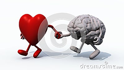 Herz und Gehirn, die Hand in Hand gehen Herz und Gehirn, die Hand in Hand gehen