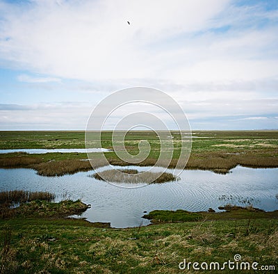 Hesketh Marsh Nature Reserve Lancashire England Stock Photo