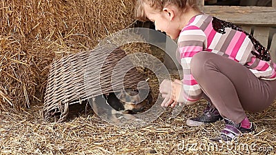 Het spel van het meisje met puppy Het spel van het meisje met puppy