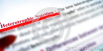 heterotrophic nutrition displayed on white paper with red colour underline text Stock Photo