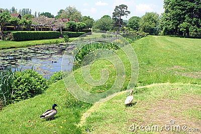 Hever castle garden in England Stock Photo