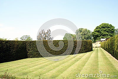 Hever castle garden's path and hedges in England Stock Photo