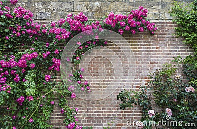 Hever Castle Gardens Stock Photo