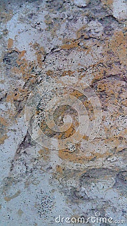 Hewn stone surface. White-orange stone surface. Stock Photo