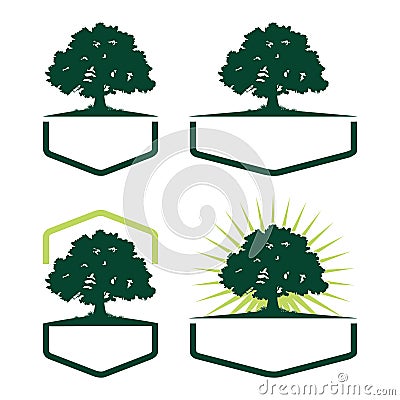 Hexagon Oak Tree Ecology Silhouette Logo Variation Vector Illustration