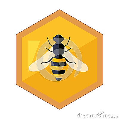 Hexagon Shape Honeycomb With Bee Insect In Center Cartoon Illustration Vector Illustration