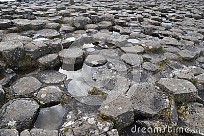 Hexagonal basalt columns at Giant's Causeway in Ireland Stock Photo
