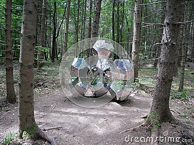 Hexagonal glass sculpture in the middle of forest Stock Photo