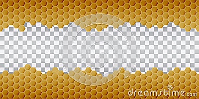 Hexagonal realistic honeycomb seamless texture on transparent background Vector Illustration