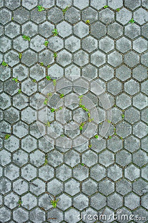 Hexagonal stone of pavement with grass. Texture of hexagonal cobble paving Stock Photo